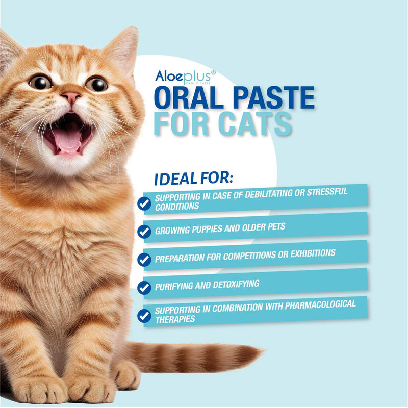 Cats Oral Paste - Complementary Energy Food, Detoxifying with Organic Aloe Arborescens, Strengthens the Natural Defenses of Older Cats and Kittens, Against Bad Breath (1 pc) (15 ml)