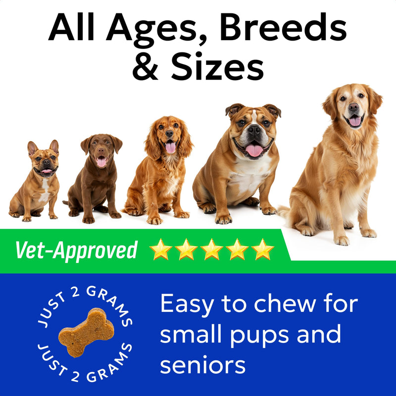 Advanced Dog Probiotics for Gut Health - Made in the UK - Pre, Post & Probiotic Treats - Dogs Digestive Health Sensitive Tums Support - All Breeds & Ages - Probiotics for Dogs (120 Ct, BBQ Pork) 120Ct Probiotic Chews