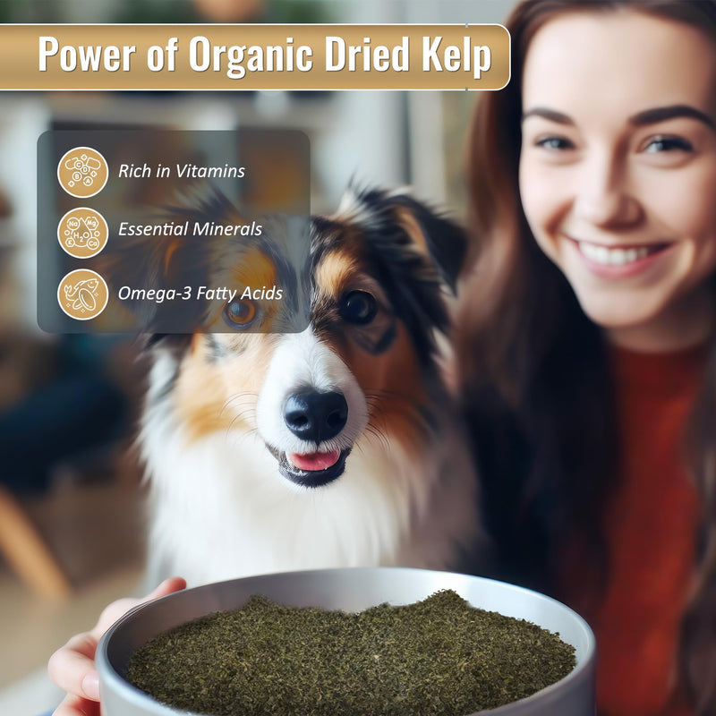 Organic Ocean KELP 16 OZ Canister - BeesActive Australia