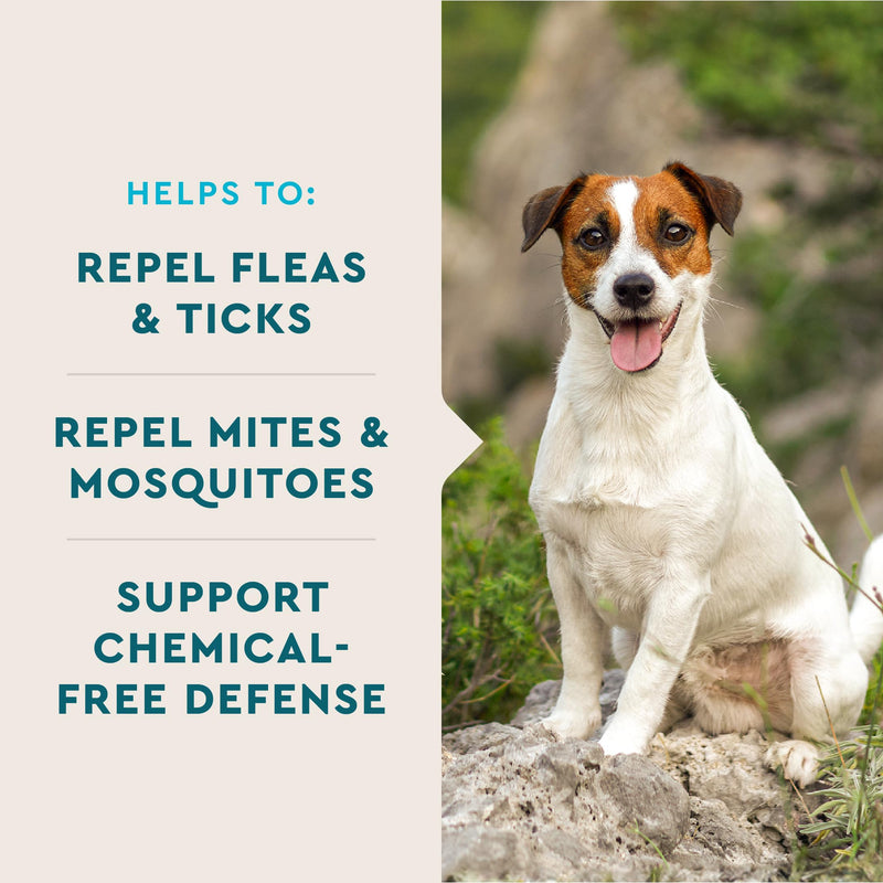 VetIQ Flea & Tick Support for Dogs, Flea and Tick Chewable, Supports Dog's Natural Flea Defenses, Free of Added Chemicals and Garlic, Hickory Smoke Flavor, 90 Count