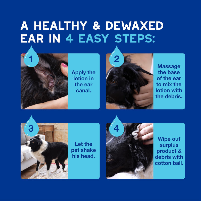 Douxo Spa - Ear Cleaner for Dogs and Cats, 120ml, Micellar Formula Safely Cleans and Removes Wax from the Ear, Flexible Nozzle for Easy Application, ph Balanced, Hypoallergenic Skin-Friendly Formula