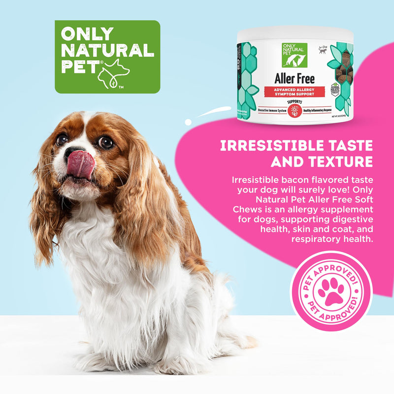 ONLY NATURAL PET AllerFree Advanced Allergy Support for Dogs w/Quercetin & Probiotics - Immune, Respiratory, Skin & Coat Health - Itchy Paws & Licking - Bacon-Flavored 60 Soft Chewable 60 Count (Pack of 1)