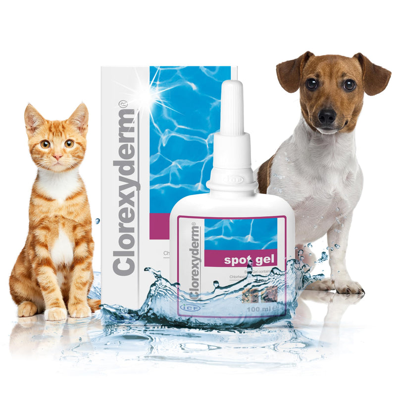 ICF | Clorexyderm Spot Gel | Advanced Cat & Dog Skin Care Gel for Itchy Skin & Wound Relief | Soothes and Moisturizes Irritated Skin | Ideal for Paws, Skin Folds, and Localized Issues 100 ml (Pack of 1)