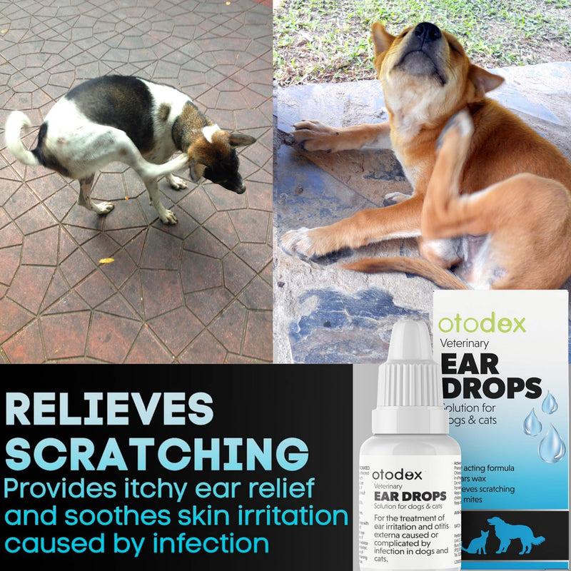 Dog Ear Cleaner | Dog Ear Drops | Ear Drops For Dogs | Ear Mite Treatment For Dogs | Cat & Dog Ear Infection Treatment | Ear Cleaner For Dogs UK | Dog & Cat Itchy Ear Treatment – 2 Packs Sold by UMDA