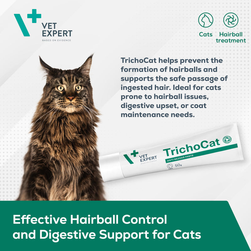 Vet Expert TrichoCat Hairball Treatment for Cats - 50g Paste - Hairball Remedy for Cats with Taurine | Cat Hairball Treatment & Hairball Paste for Cats | Hairball Treats for Cats