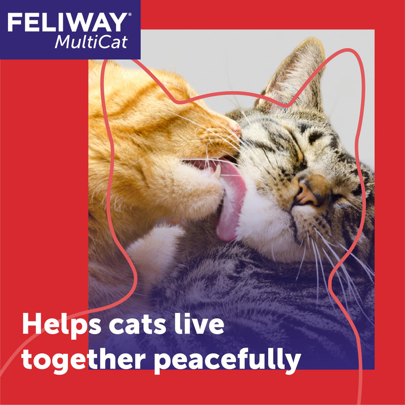 FELIWAY MultiCat 30 Day Cat Calming Plug In Pheromone Diffuser Starter Kit, 48ml - Helps Reduce Conflicts and Signs of Tension in Multi-Cat Households 1.62 Fl Oz (Pack of 1) Clear