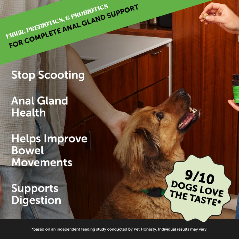 Pet Honesty Scoot Stopper - Digestion & Health Supplement for Dogs - Dog Anal Gland Support, Diarrhea & Bowel Support, Fiber & Dog Probiotics and Digestive Enzymes (90 ct) - PawsPlanet Australia