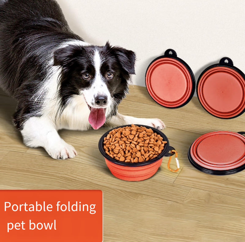 Dog Portable Water Bowl & Collapsible Dog Bowls for Travel Dog Cat Food Feeder with Carrying Handle(red) red - BeesActive Australia