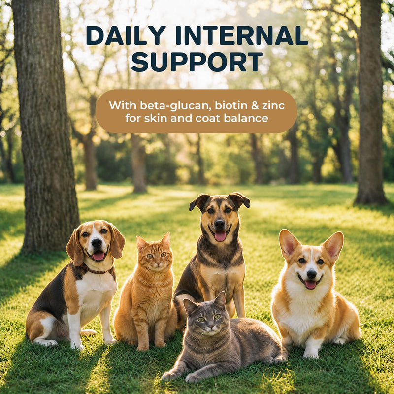 Ringworm Treatment for Dogs & Cats + L-Lysine, Skin & Coat Support Powder, Helps Reduce Scratching, Itching & Patchy Coat, with Fish Oil, Beta-Glucan, Turmeric, Zinc & Biotin, 60 g