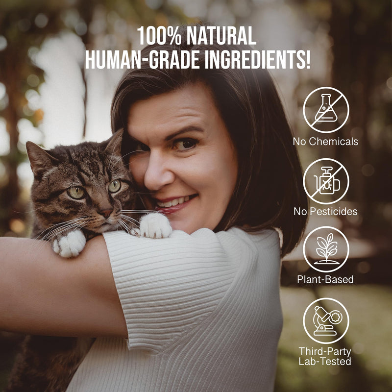Soothe Salve for Cats - Natural Hemp Oil Balm for Cat Itchy Skin Relief & Comfort - New & Improved Formula with Manuka Honey, Coconut Oil & Herbal Extracts - 1 oz
