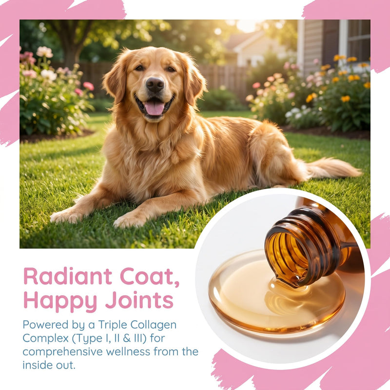 Collagen for Dogs, Premium Liquid Collagen for Dogs, Support for Skin & Joints & Gut & Overall Vitality, 60ml/2floz
