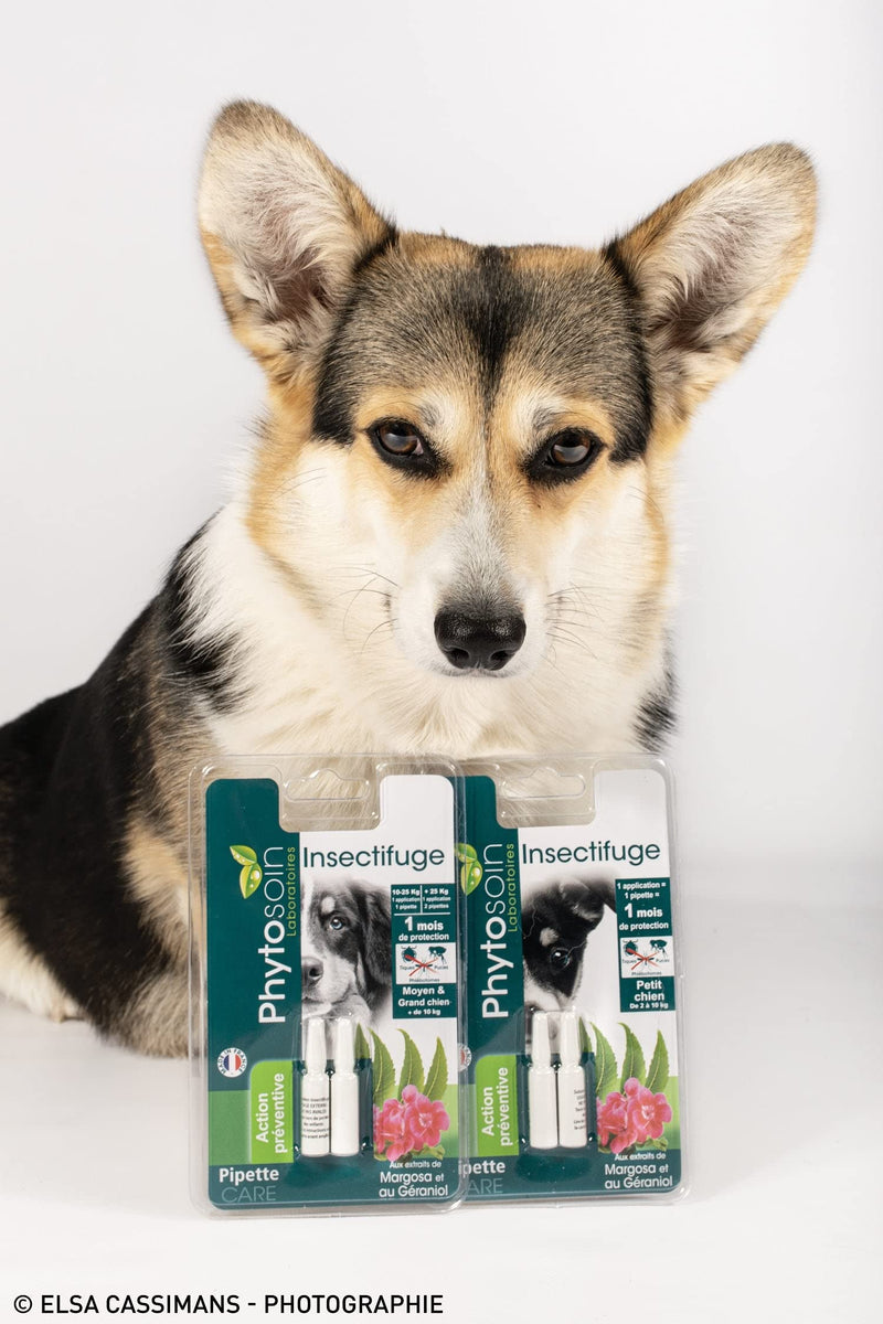 Phytosoin 092631 insect repellent pipettes for small dogs, 2 pieces - BeesActive Australia
