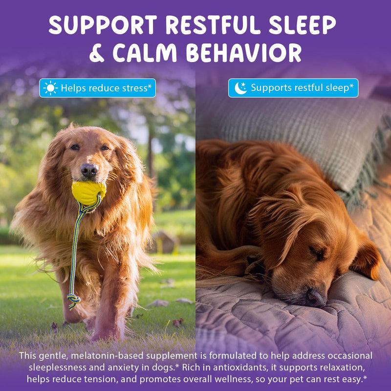 Melatonin for Dogs, 60ml Liquid Dog Melatonin Drops for Sleep Aid & Dogs Anxiety Relief, Dog Calming Treatment for Noise, Fireworks, Separation & Travel Stress