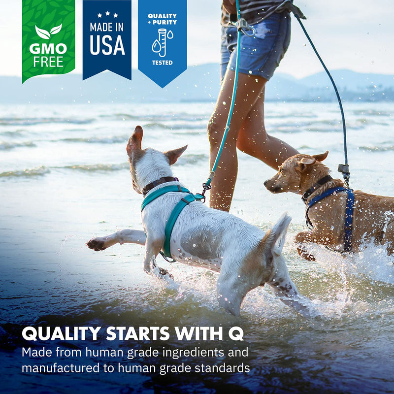 Green Lipped Mussel Powder for Dogs, All-Natural Hip & Joint Support Dietary Supplement Formula for Dogs (120 Servings) - PawsPlanet Australia