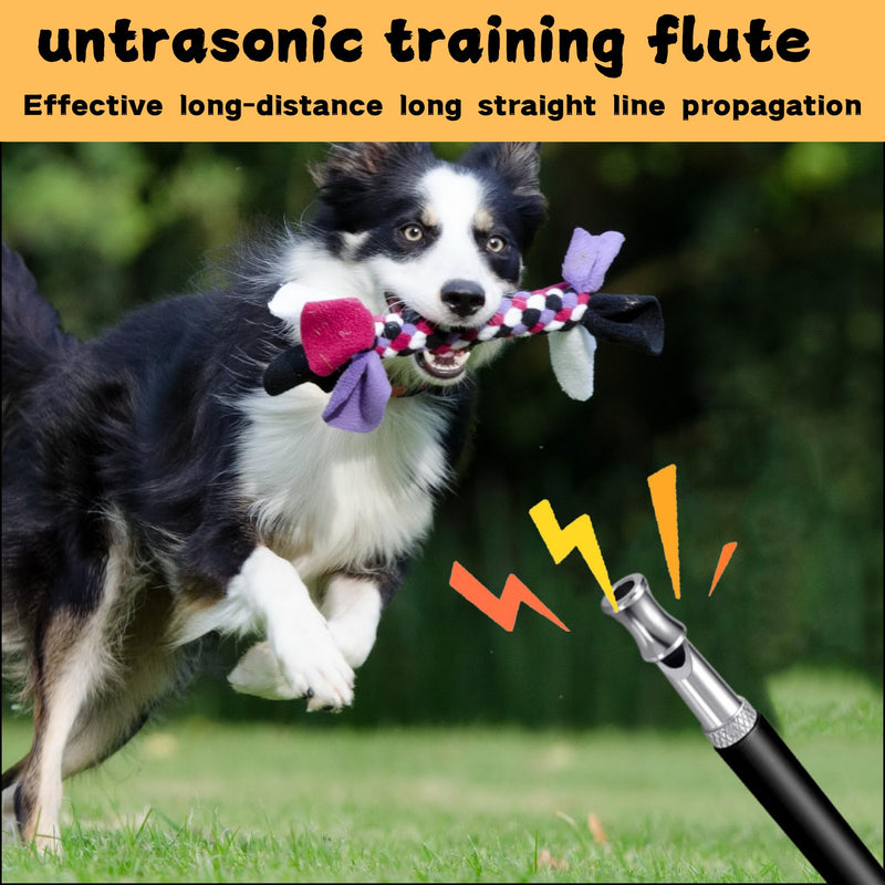 Dog Whistle to Stop Barking,2pack Adjustable Pitch Ultrasonic Silent Dog Whistles, Dog Training Tools,Stop Neighbors Dog from Barking,Pet Recall, Stop Dog Attack,with Black Lanyard - BeesActive Australia