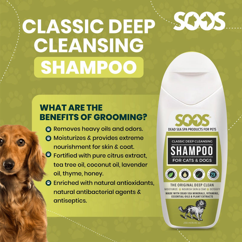 Soos Pets Dog Shampoo for Cats and Pets Natural Dead Sea Classic Deep Cleansing Fast Absorbing Coat with Vitamins Minerals Essential Oils Natural Ingredients Antib-acterial - 1x Pet Shampoo (250ml) - PawsPlanet Australia