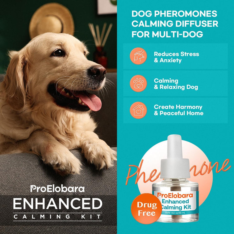 Dog Calming Anxiety Relief Diffuser: Comfort Dog Pheromone Calming Plug Diffuser - Effective Anxiety Relief for Dogs - 62 Day Supply blue