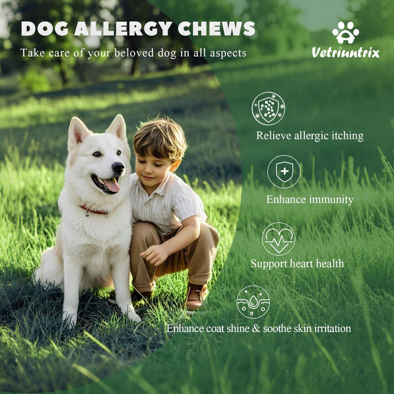 Dog Allergy Chews 200ct, Dog Allergy Relief Chews Coat Supplement for Itchy Skin Paw Licking, Probiotics for Large Dogs with Colostrum Omega-3 Turmeric Immune Supplement Chicken 200 Chews