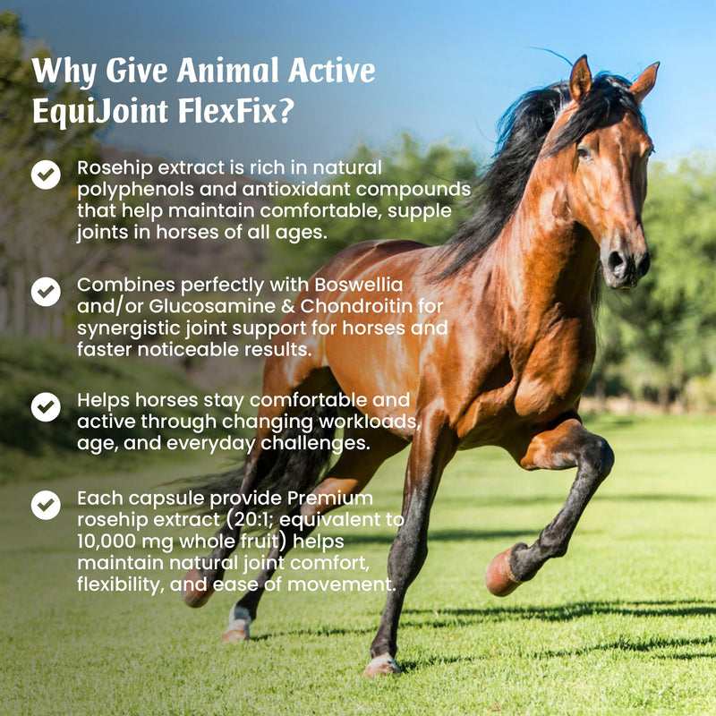 EquiJoint FlexFix for Horses | 240 Easy-Open Capsules - 4 Months Supply | Joint and Mobility Support Supplement for Horses | Combine with Boswellia or Glucosamine | Made in the UK