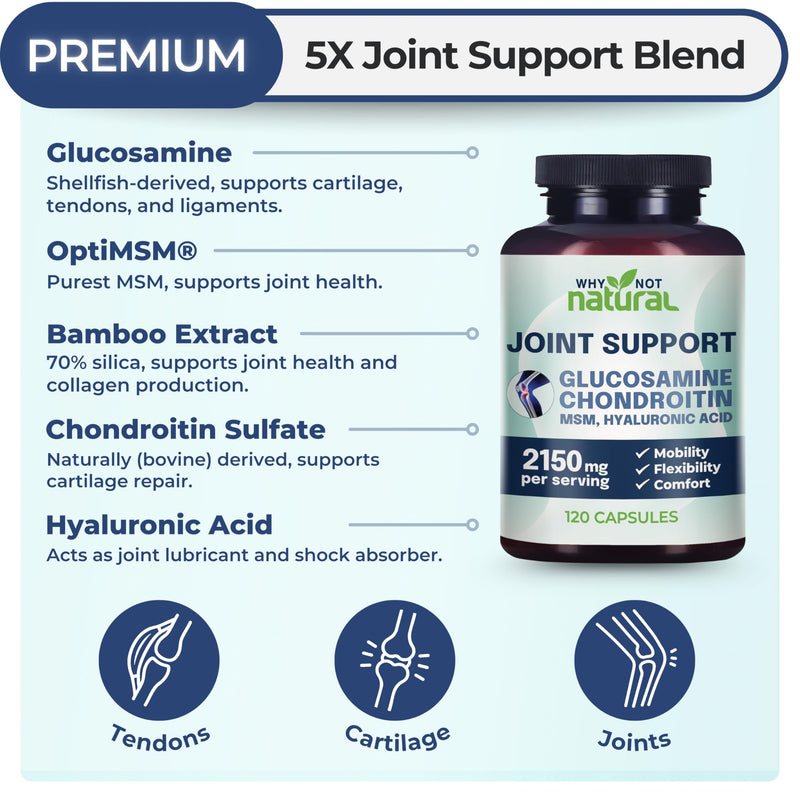 Why Not Natural Glucosamine Chondroitin, MSM, Joint Support Supplements - Knee Pain Joints Health Suppplement - BeesActive Australia