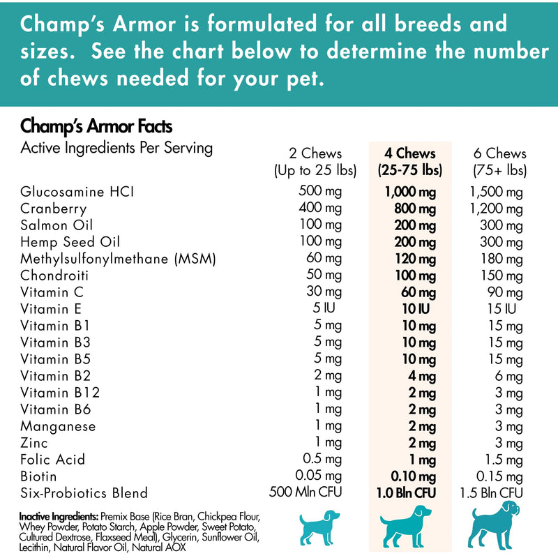 Dog Multivitamin Bundle - Champ's Armor Allergy & Immune Chews + 10-in-1 Supplement | Hip Joint, Skin Coat, Digestive Health Support for Dogs