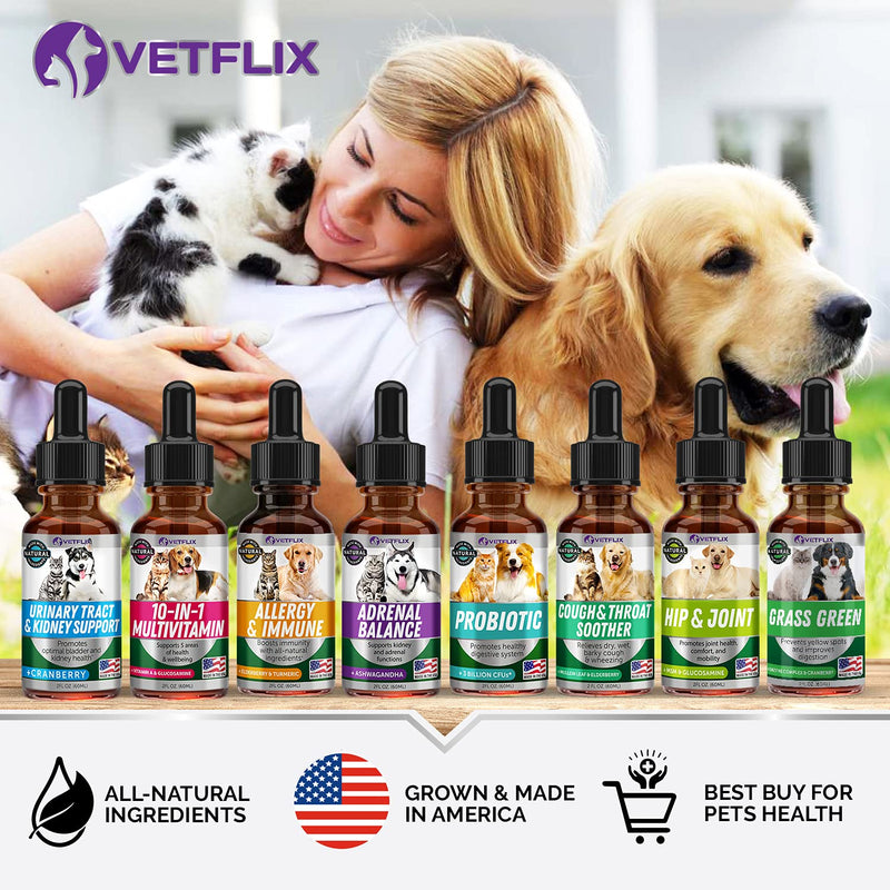 Pet Vitamins 10-in-1 Made in USA - Natural Glucosamine for Dogs & Cats, Essential Multivitamin Blend for Pet Joint Health, Longevity, Gut & Immune Health - All Ages, Breeds and Sizes 2 fl oz - PawsPlanet Australia