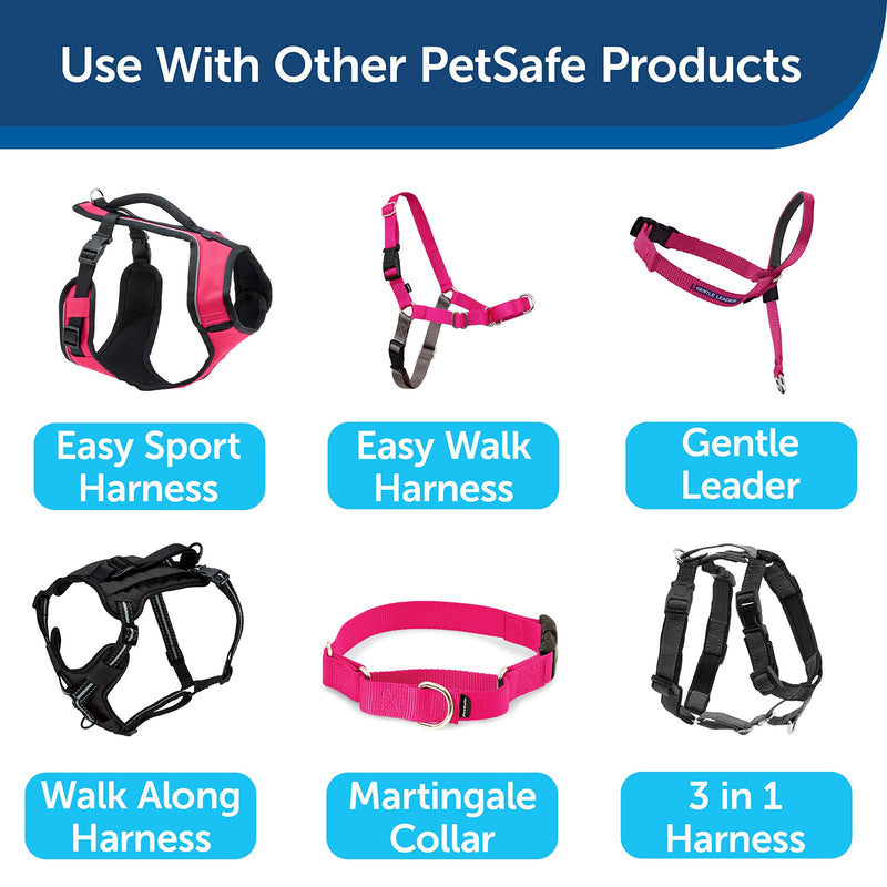 PetSafe Nylon Dog Leash – Strong, Durable, Traditional Style Leash with Easy to Use Bolt Snap for Small, Medium and Large Dogs - 3/4 in. x 6 ft., Raspberry 1 Count (Pack of 1) Raspberry Pink - BeesActive Australia