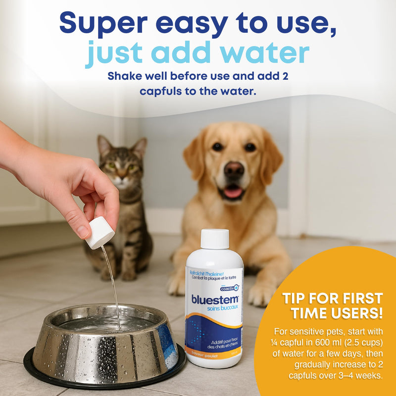 bluestem Freshens Dog and Cat Breath - Safe and Effective Dental Water Additive - 17 Ounce - Chicken