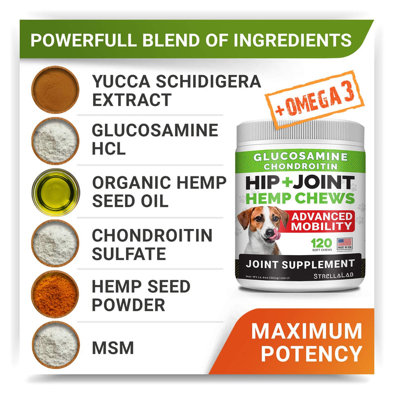 4oz Probiotics Powder + 240ct Hemp Glucosamine Joint Supplement Bundle - Relieves Diarrhea + Joint Pain Relief - Digestive Enzymes + Prebiotics + Omega 3, Hemp Oil + Chondroitin, MSM - Made in USA