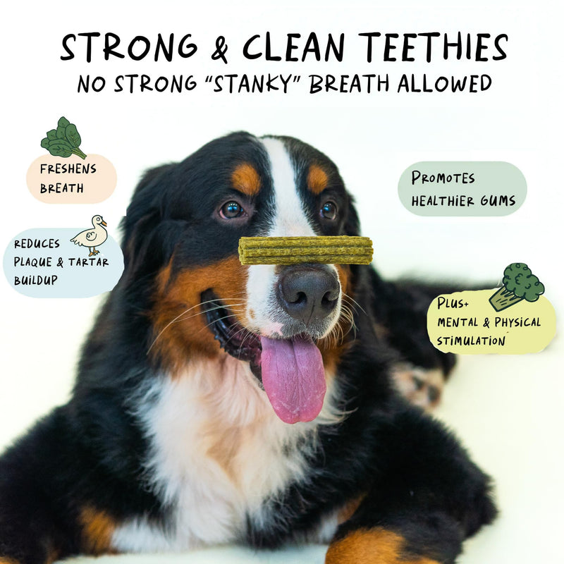 Notti Dental Chews for Medium to Large Breed Dogs – Plaque & Tartar Control Dental Stick, Teeth Cleaning Oral Care Treats, Fresh Breath & Healthy Gums – Duck, Spinach & Broccoli