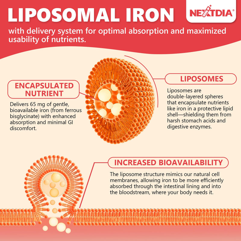 Liposomal Iron Supplement for Women, Iron Bisglycinate 65mg - High Absorption, Gentle on Stomach, No Constipation - with Vitamin C, Methylfolate, B12 - Iron Level & Energy Support - 120 Softgels
