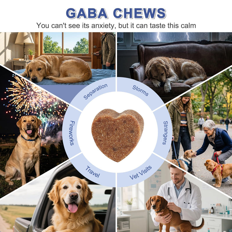 PETNANNY Calming for Dogs with GABA – Natural Hard Bites Supplement for Travel, Fireworks, Thunderstorm Stress & Nervousness (140)