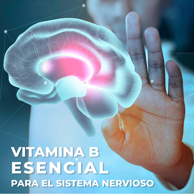 Vidanat Complex B 90 Capsules – Supports Energy, Metabolism & Immune Health – Essential B Vitamins for Mental Clarity, Stress Relief & Skin Health