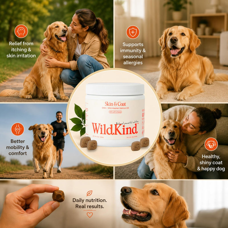 WildKind Dog Allergy Chews for Dogs – Wild Alaskan Salmon Oil for Dogs, Dog Itch Relief, Skin & Coat Supplement for Dogs, Shedding Control, Digestive & Immune Health Support, 120 Soft Chews