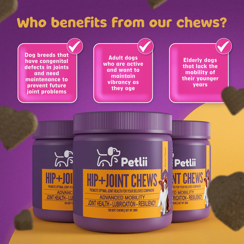 HIP and JOINT CHEWS - Dog Joint Supplements for the maintenance of Cartilage, Hips & Joints. Combines Glucosamine, Chondroitin and MSM in a convenient chew for Senior and Adult dogs - 120 Chews