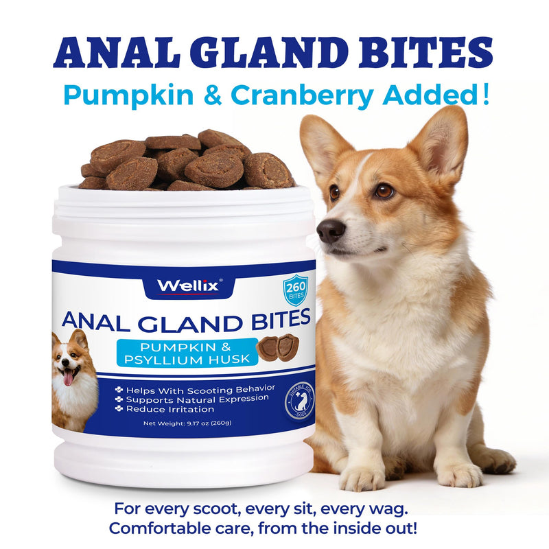 Wellix Anal Gland Chews for Dogs (9.17 oz), Dog Gland Supplement to Support Stool Quality, Dog Probiotics for Digestive & Gut Health - Rich in Pumpkin & Dietary Fiber - Chicken Flavor 9.17 oz