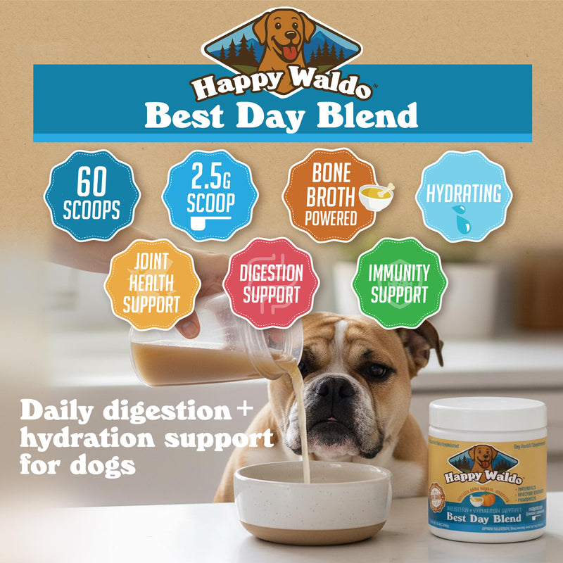 Bone Broth Dog Food Topper – Firm Stool Support, Digestion & Gut Health, Picky Eater Friendly with Pumpkin, Probiotics & Digestive Enzymes