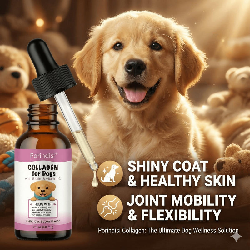 Liquid Collagen for Dogs - High Strength Marine Collagen Drops for Joint Support & Mobility - Advanced Dog Joint Supplements with Vitamins - Itchy Skin Relief & Glossy Coat Care - Easy to Absorb