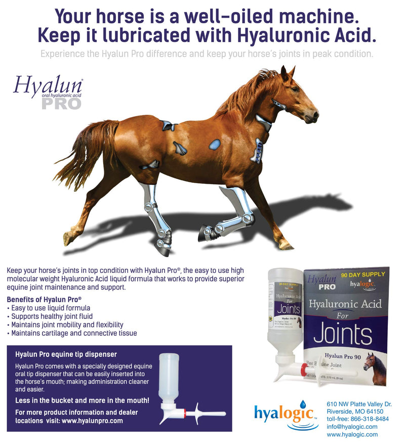 Hyalogic Hyaluronic Acid for Horses 30 Day Supply for Joint Health - Easy Oral Tip Dispenser - Liquid HA for Equine Joints & Cartilage Support Supplement - Hyalun Pro Equine Supplies - 3 oz / 90 ml - BeesActive Australia