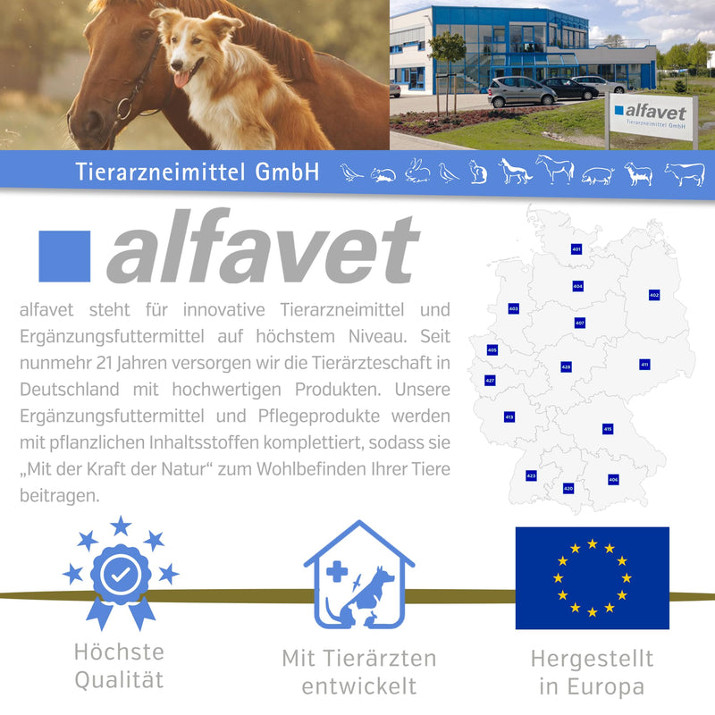 alfavet, ReConvales Gastro Balance for cats and dogs, for the care of the gastric mucosa with acidity regulator, supplementary feed, 3 x 90 ml - BeesActive Australia