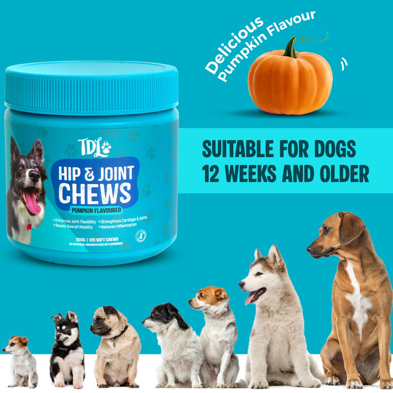 Hip & Joint Care for Dogs – 120 Pumpkin Flavour Soft Chews – Joint Support Max Formula with Natural Anti-Inflammatory Ingredients for Mobility & Joint Pain Relief