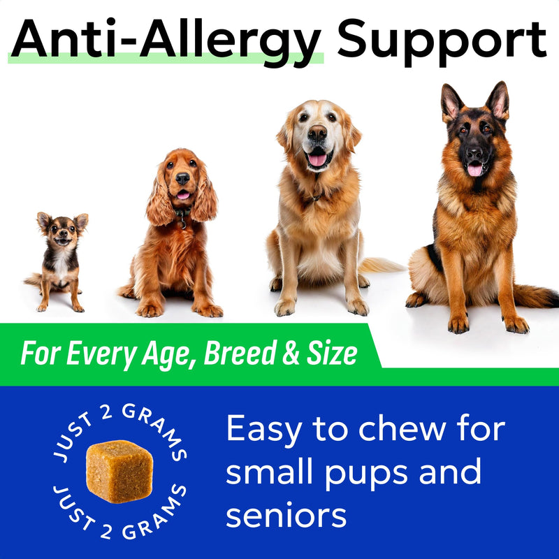 BARK&SPARK Dog Allergy Relief Soft Chews for Skin Health & Seasonal Allergies - Anti-Itch Supplement w/Omega-3, Quercetin & Bromelain Immune Treats for Dry Skin & Hot Spots - BBQ Chicken - 60ct ALLER/Itch Relief - 60 Ct with Fish Oil