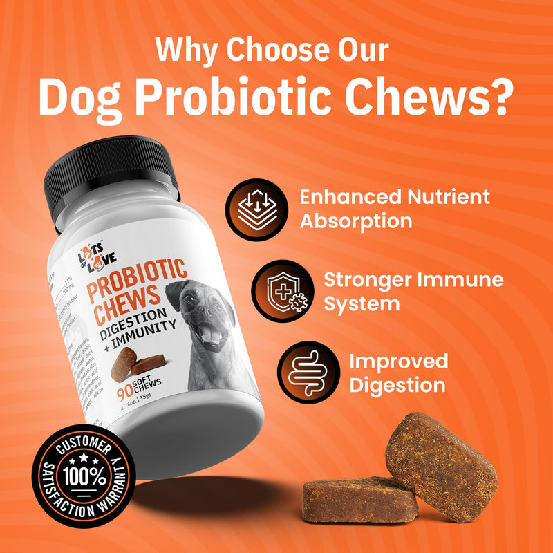 Dog Probiotic Chews (90 Count) - Dog probiotics for Digestive & Gut Health - Puppy Pro Biotic Supplement for Nausea, Vomiting & Diarrhea (90 Count) 90 Count