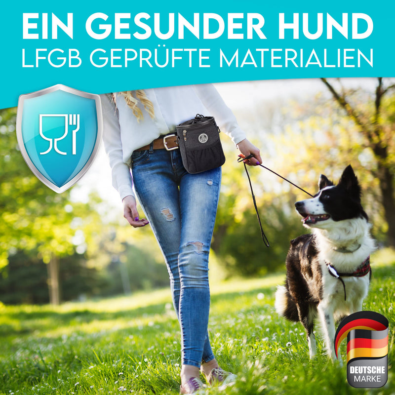 DOG IS KÖNIG® Premium treat bag for dogs - the all-rounder - robust food bag for dogs with plenty of storage space for walking and dog training - with poop bag dispenser and training ebook Black: 16 x 18 x 6cm (W x H x D) - BeesActive Australia