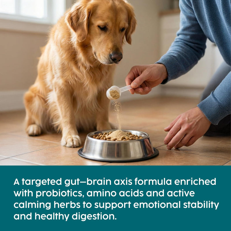 Dog Calming Supplements, Probiotics & L- Tryphtophan Powder for Anxious Dog, Stress and Anxiety for Dogs Support, Fireworks, Car Travel, Long Term Relaxation Treatment - Beef Flavour, 100g