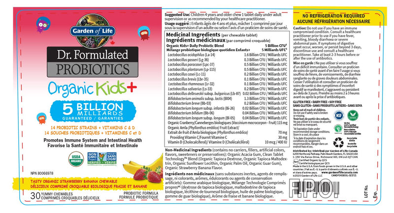 Garden of Life Dr. Formulated Probiotics Organic Kids+-Digestive Health Support-Prebiotic Fiber&Vitamins C&D-Supports Immune Function-Shelf Stable-Strawberry Banana,30 Yummy Chewables,(Pack of 2) 30 Count (Pack of 2)