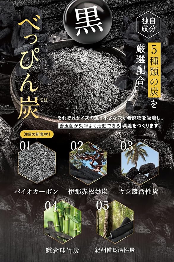 Enzyme Bepin Charcoal Cleanser, Charcoal Cleanser, 5 Types of Charcoal and Lactic Acid Bacteria Multi-Grain Koji - BeesActive Australia