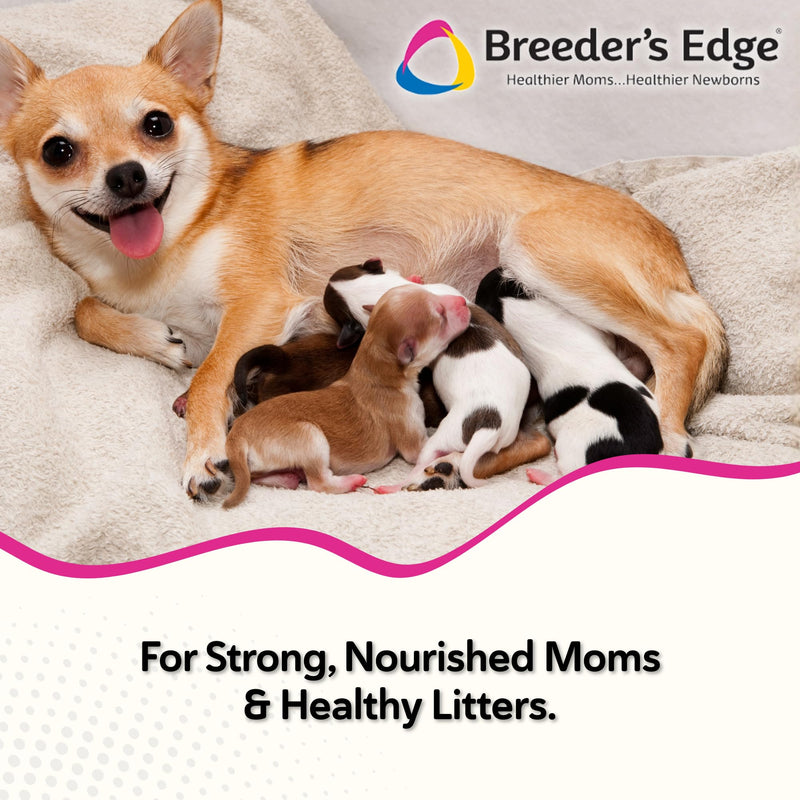 Breeder's Edge Oxy Momma Meat Chews, Postnatal Vitamin Supplement for Lactating Dogs & Cats, Provides Essential Nutrients & Herbs to Support Milk Production and Aid Mother's Recovery After Birth, 40ct | Postnatal Vitamin Supplement with Essential Nutri...