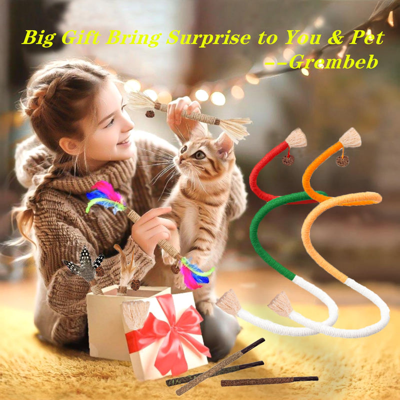 Cat Toys 12PCS Catnip Toy for Indoor Kitten Toys Cat Chew Stick for Dental Cleaning Teeth Cat Silvervine Rope Treat Kitty Feather Snack for for Kick Molar Scratch Self Play Interactive Boredom Pro-12PACK MIX - BeesActive Australia