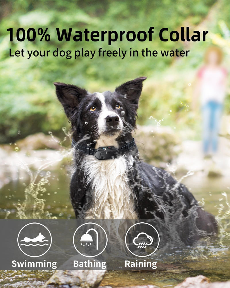 Dog Shock Collar - 2000FT Range Rechargeable Dog Training Collar with Remote IPX7 Waterproof 4 Training Modes (Flashlight Beep Vibration Shock) Perfect for Small Medium Large Dogs (20-150lbs) Black - BeesActive Australia